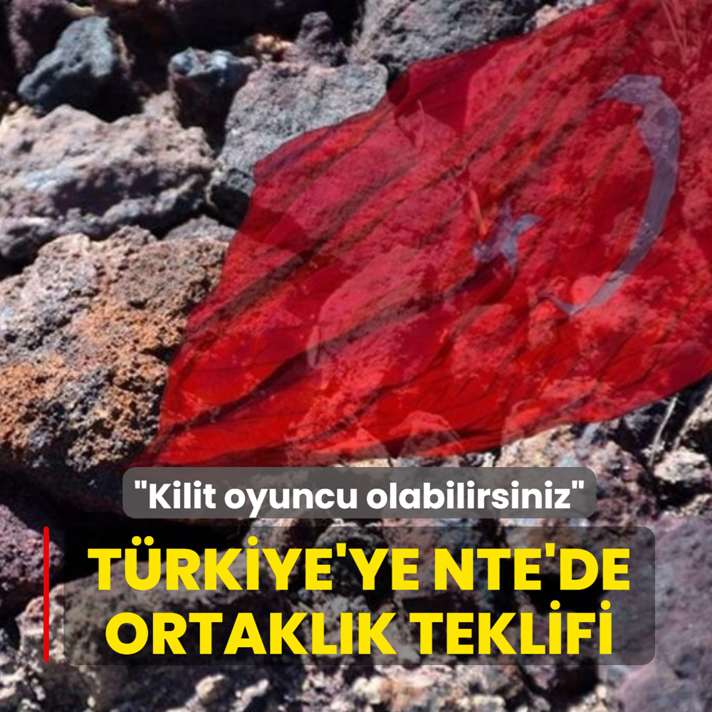 Trkiye'ye NTE'de ortaklk teklifi! Kilit oyuncu olabilirsiniz