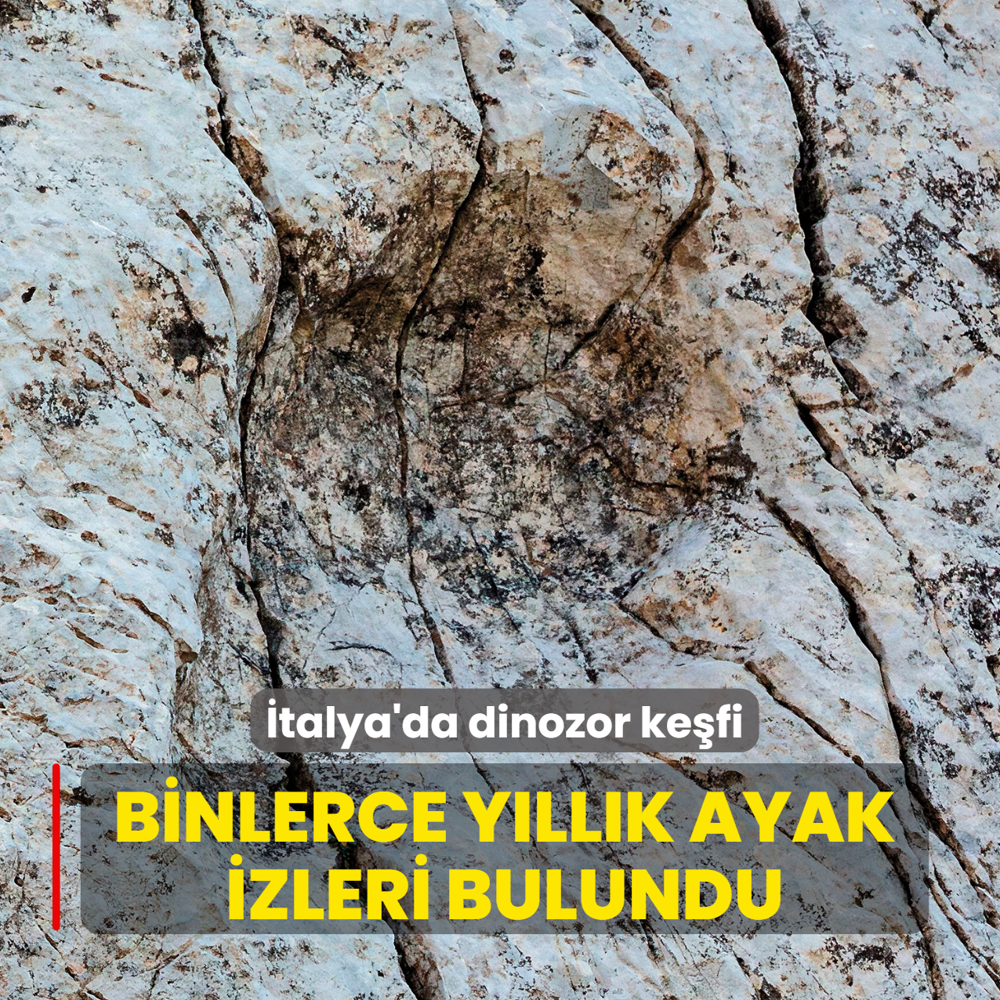 �talya'da dinozor ke�fi... Binlerce y�ll�k ayak izleri bulundu