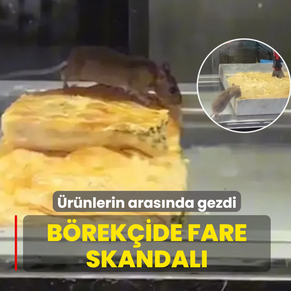 B�rek�ide fare skandal�: Tezgahtaki �r�nlerin aras�nda gezdi