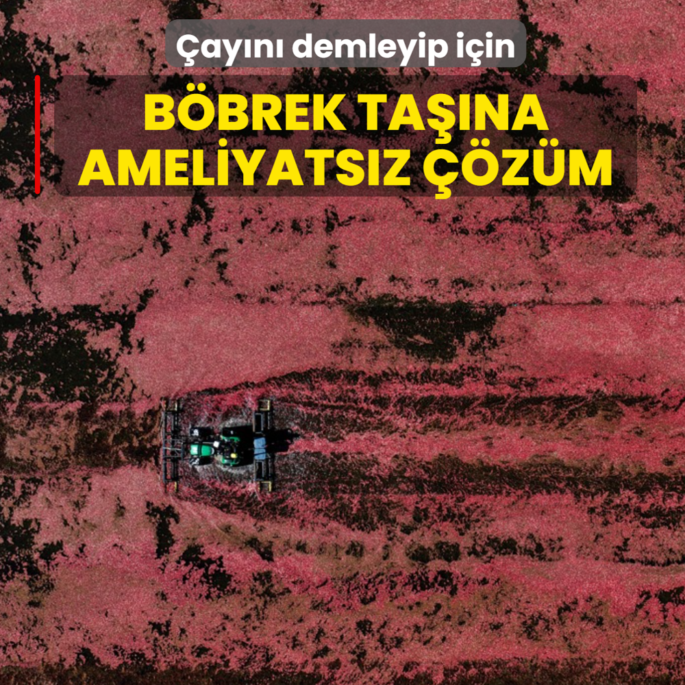 Kendili�inden yeti�iyor, de�eri bilinmiyor: �ay�n� demleyip i�in! B�brek ta��na ameliyats�z ��z�m