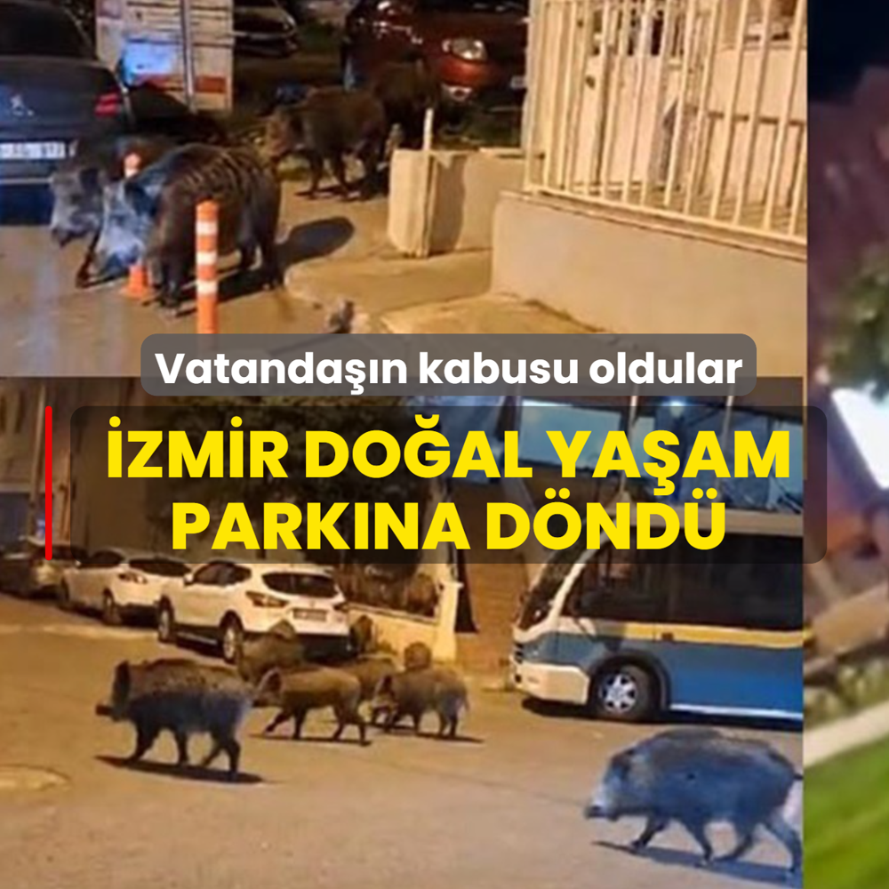 �zmir do�al ya�am park�na d�nd�! Vatanda��n kabusu oldular