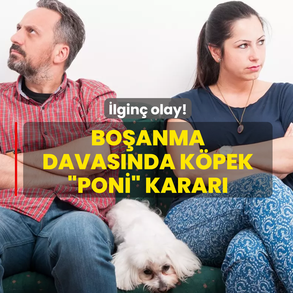 Velayeti erkekte hafta sonu kad�nda!