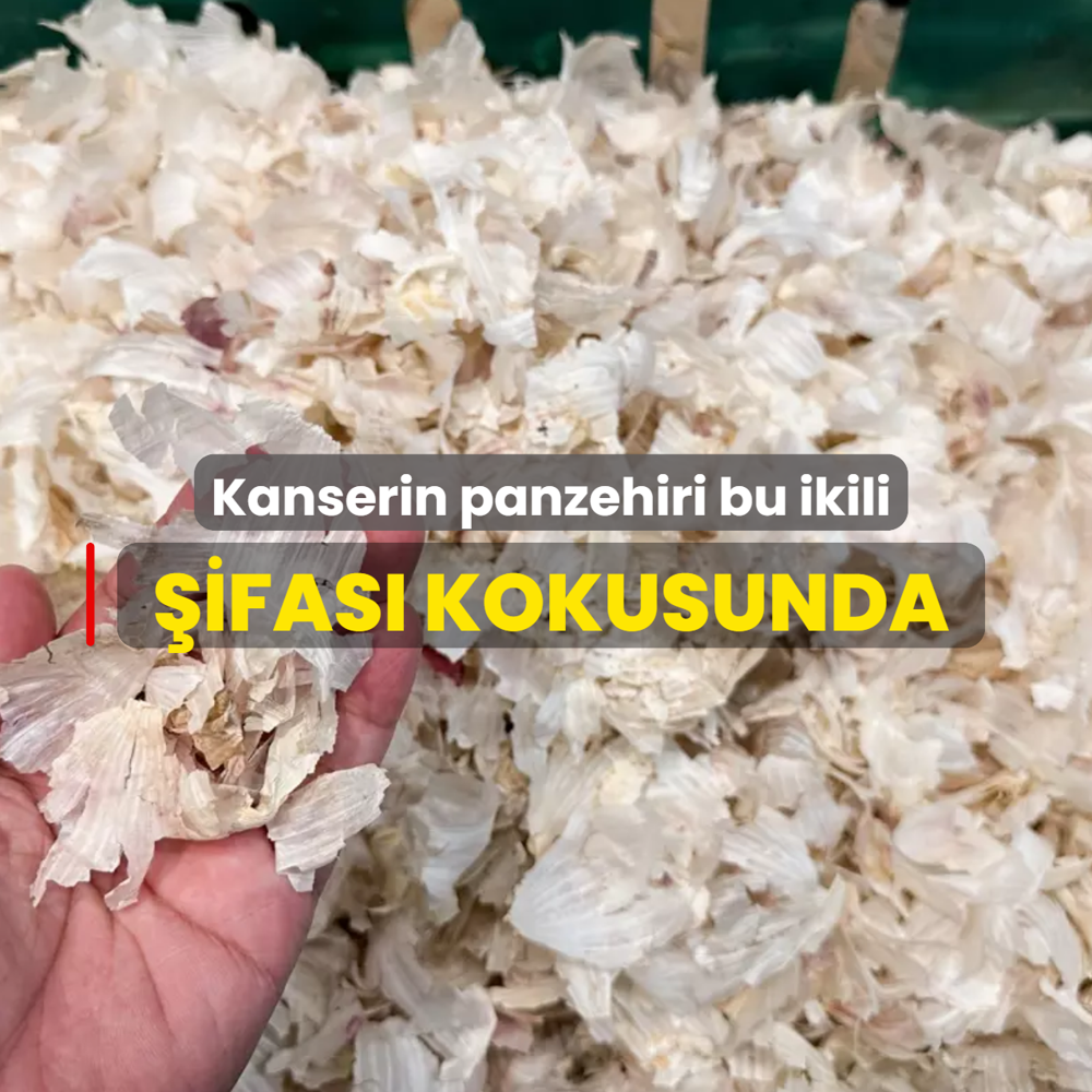 Kanserin panzehiri ikili: �ifas� kokusunda, t�m�r sava���s�