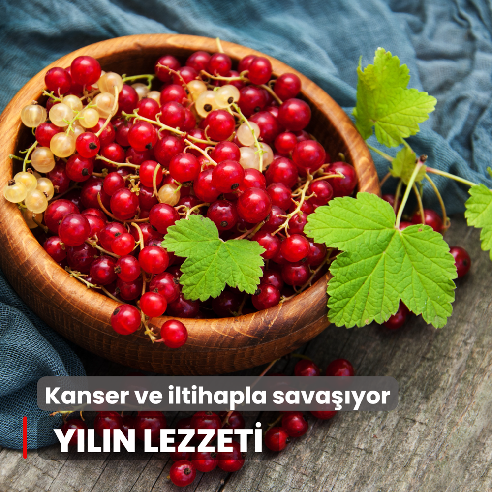Y�l�n lezzeti se�ildi: Kanser ve iltihapla sava��yor