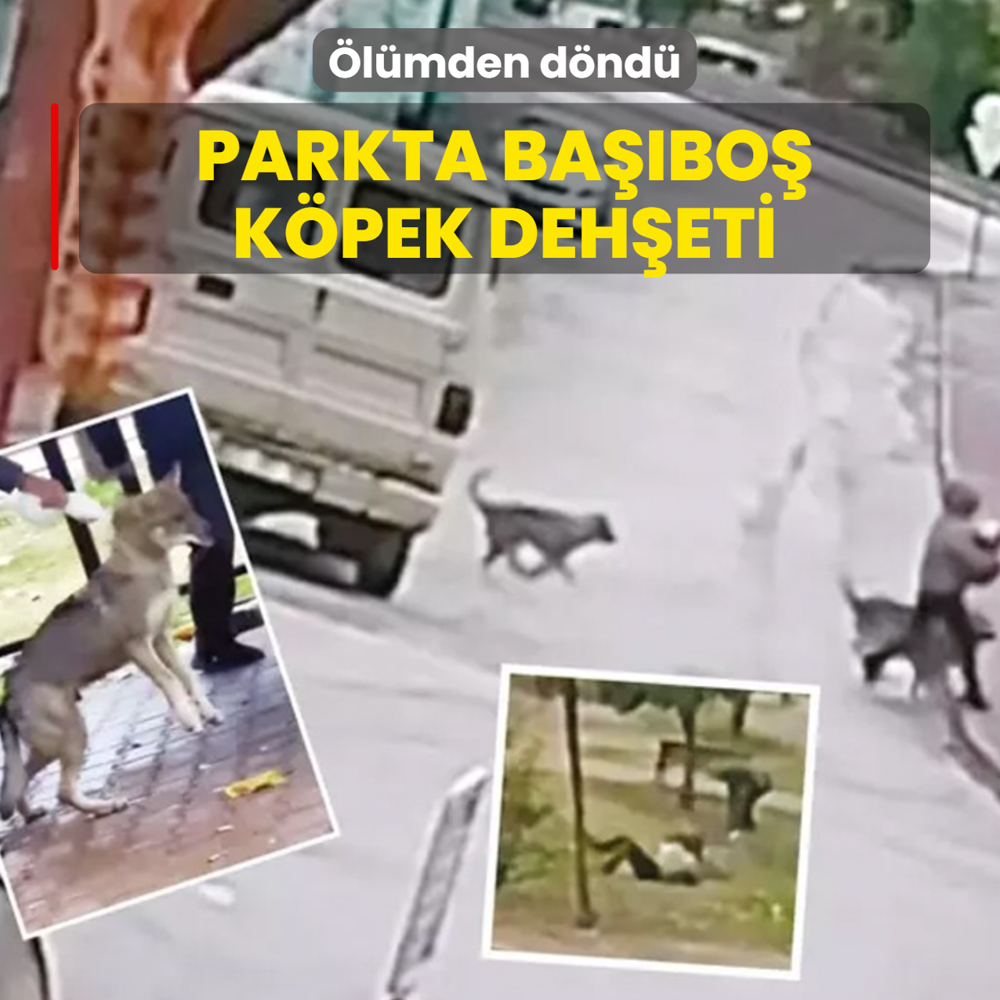 Parkta ba��bo� k�pek deh�eti