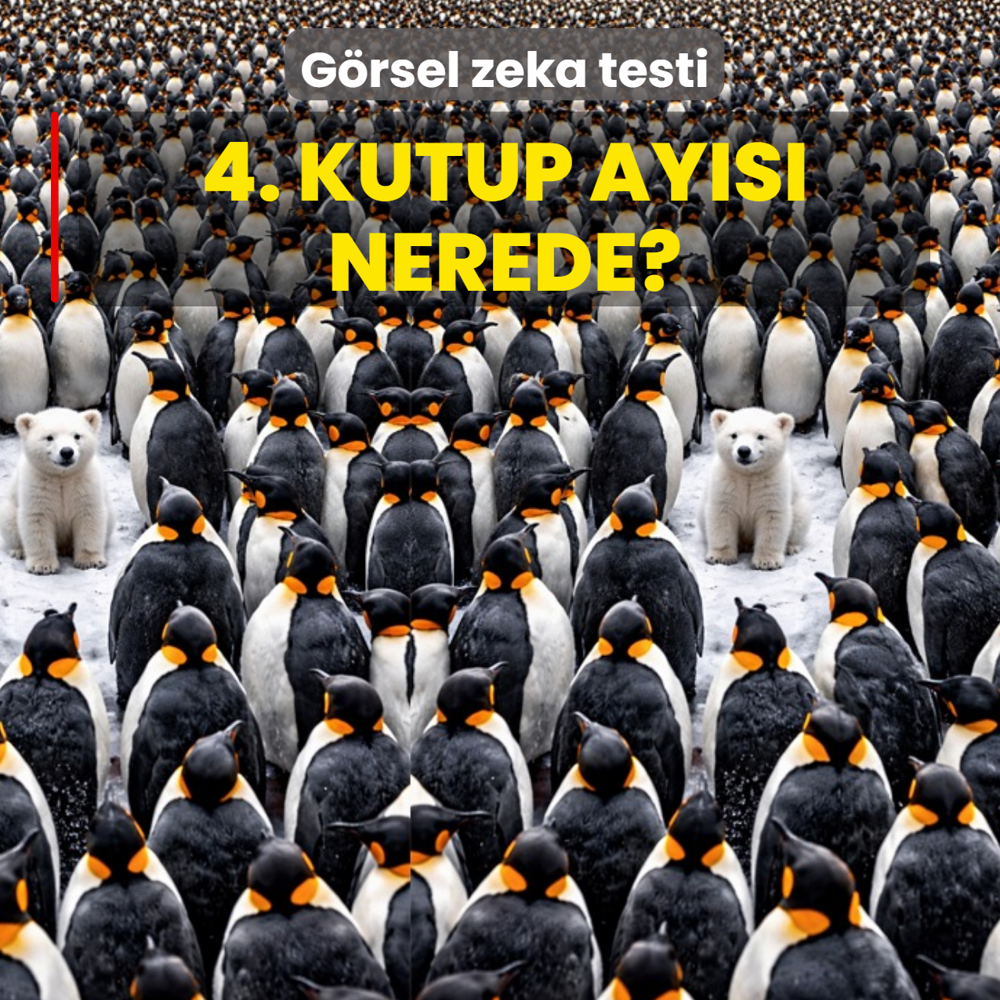 G�rsel zeka testi: Penguenler aras�ndaki 4. Kutup ay�s� nerede?