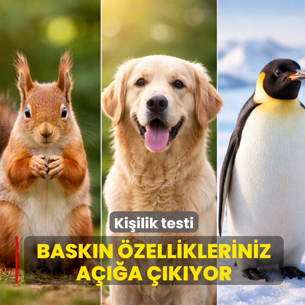 Ki�ilik testi: ��inizdeki sesi serbest b�rak�n: Se�ti�iniz hayvan bask�n �zelliklerinizi s�yl�yor