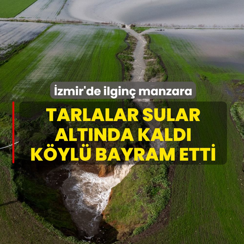 �zmir'de ilgin� g�r�nt�! Tarlalar sular alt�nda kald�: K�y halk� bayram yap�yor
