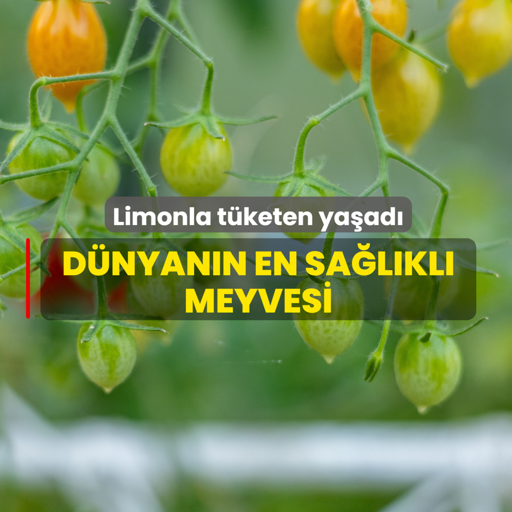 D�nyan�n en sa�l�kl� meyvesi belli oldu! Limonla t�keten ya�ad�