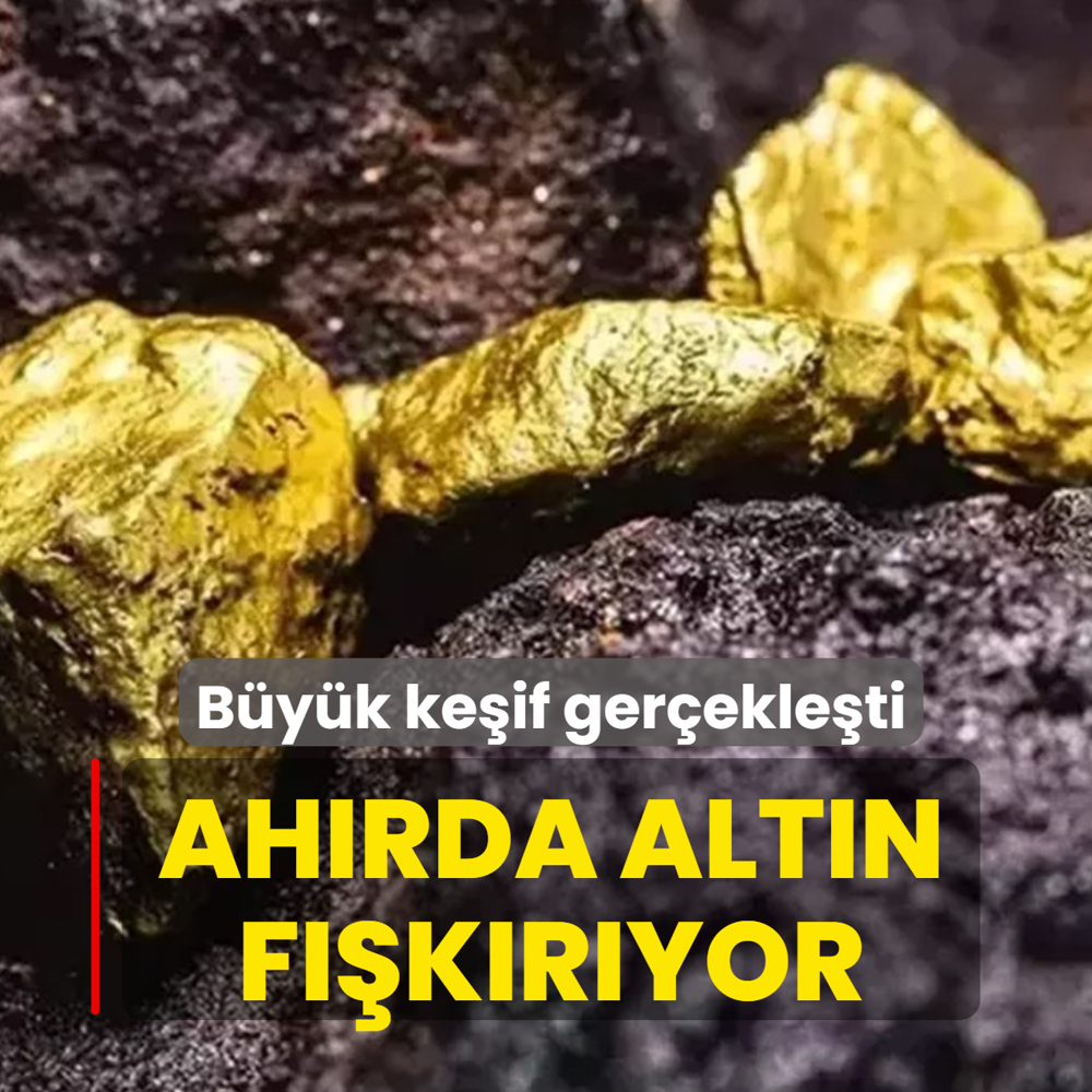 B�y�k ke�if ger�ekle�ti! Ah�rda alt�n f��k�r�yor