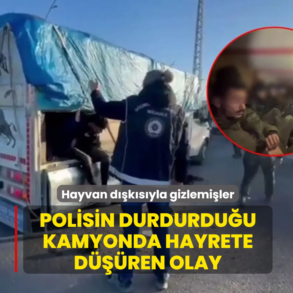 Polisin durdurdu�u kamyonda hayrete d���ren olay! Hayvan d��k�s�yla gizlemi�ler