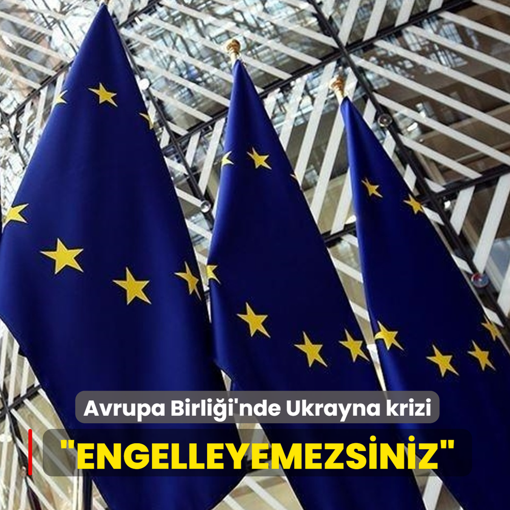 Avrupa Birli�i'nde Ukrayna krizi... �Engelleyemezsiniz�