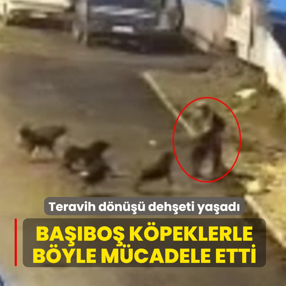 Teravih d�n��� deh�eti ya�ad�: Ba��bo� k�peklerle b�yle m�cadele etti