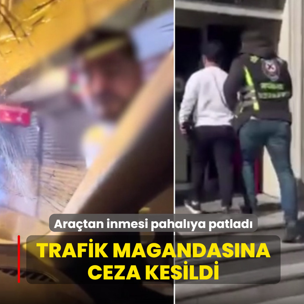 Ara�tan inmesi pahal�ya patlad�: Trafik magandas�na ceza kesildi