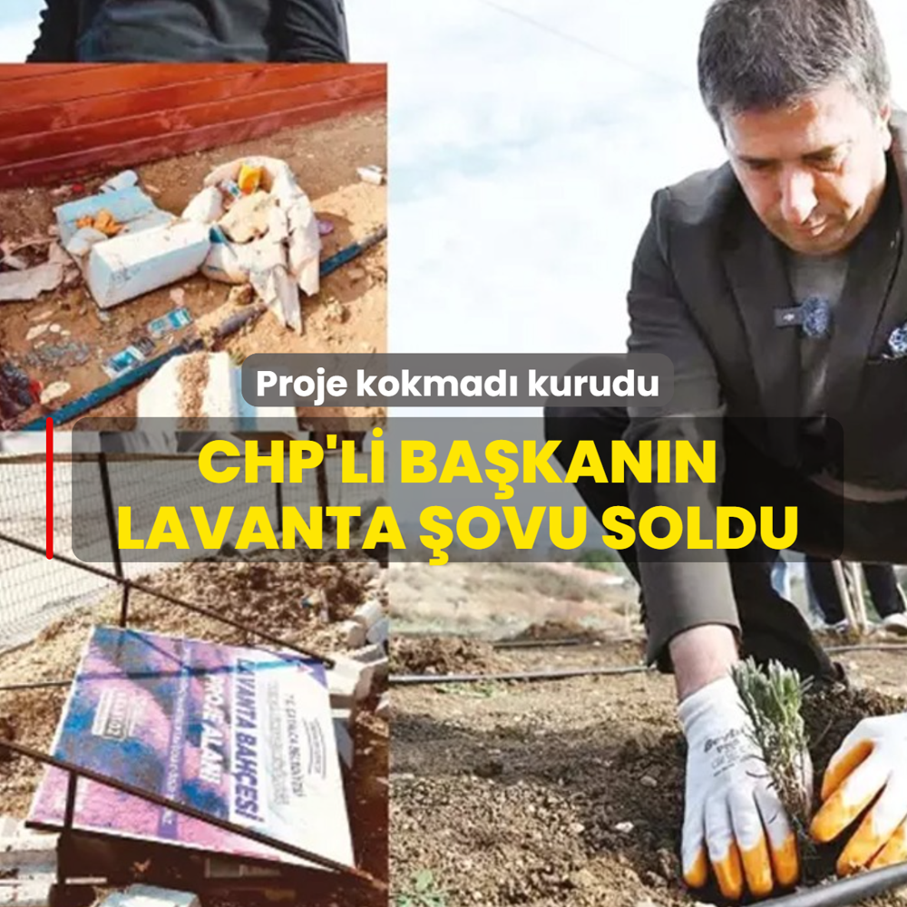 CHP'li ba�kan�n lavanta �ovu soldu