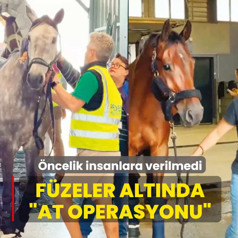 F�zeler alt�nda �at operasyonu�... �ncelik insanlara verilmedi