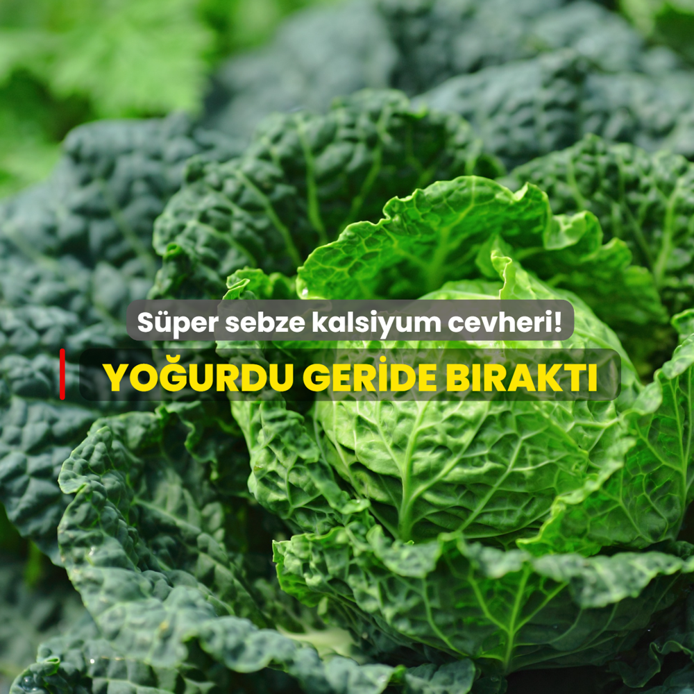 S�per sebze kalsiyum cevheri! Yo�urdu ve s�t� geride b�rakt�