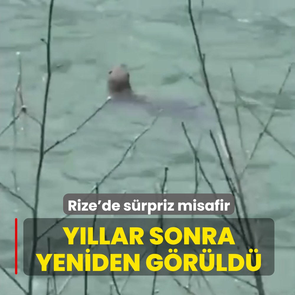 Rize'de s�rpriz misafir... Y�llar sonra yeniden g�r�ld�