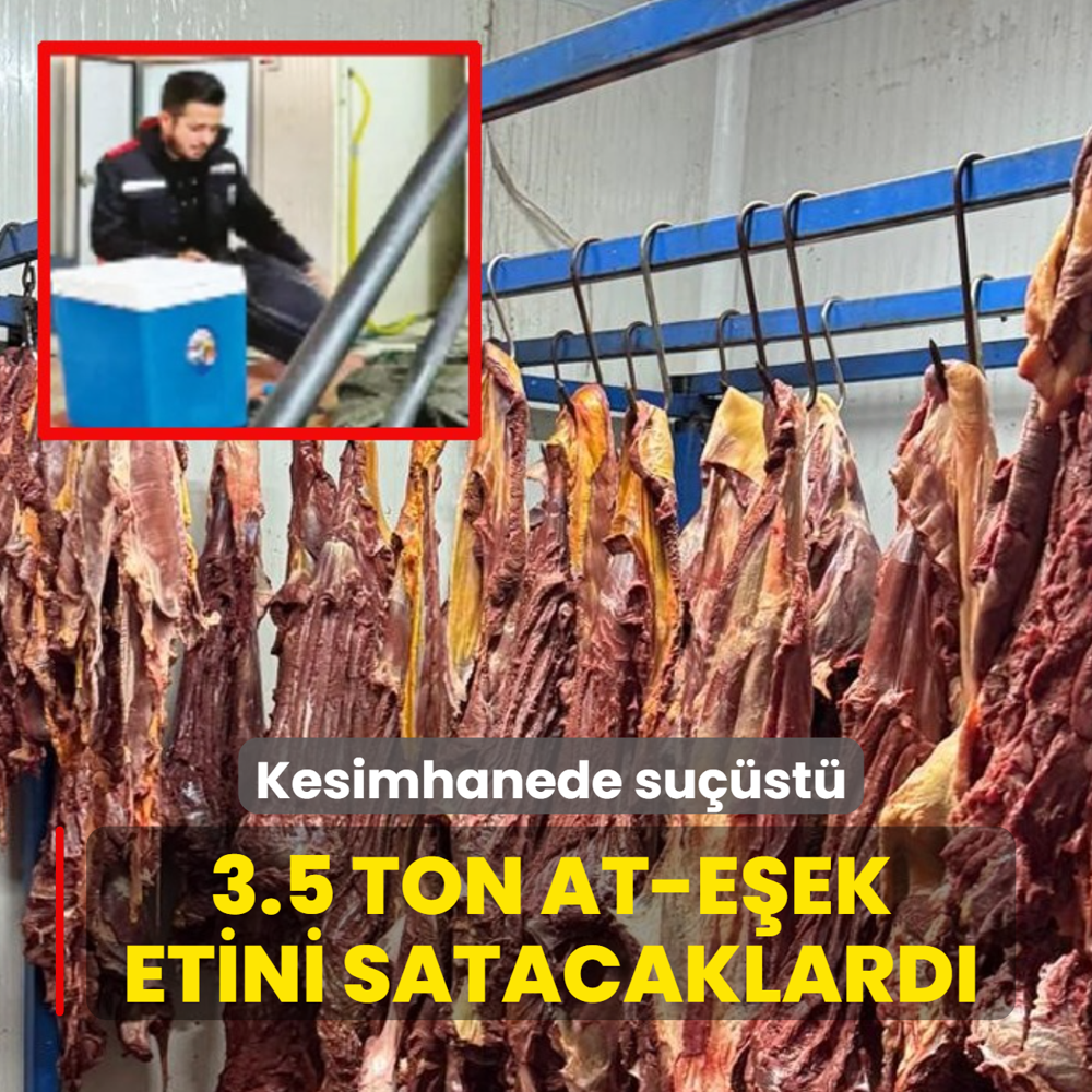 3.5 ton at-e�ek etini satacaklard�