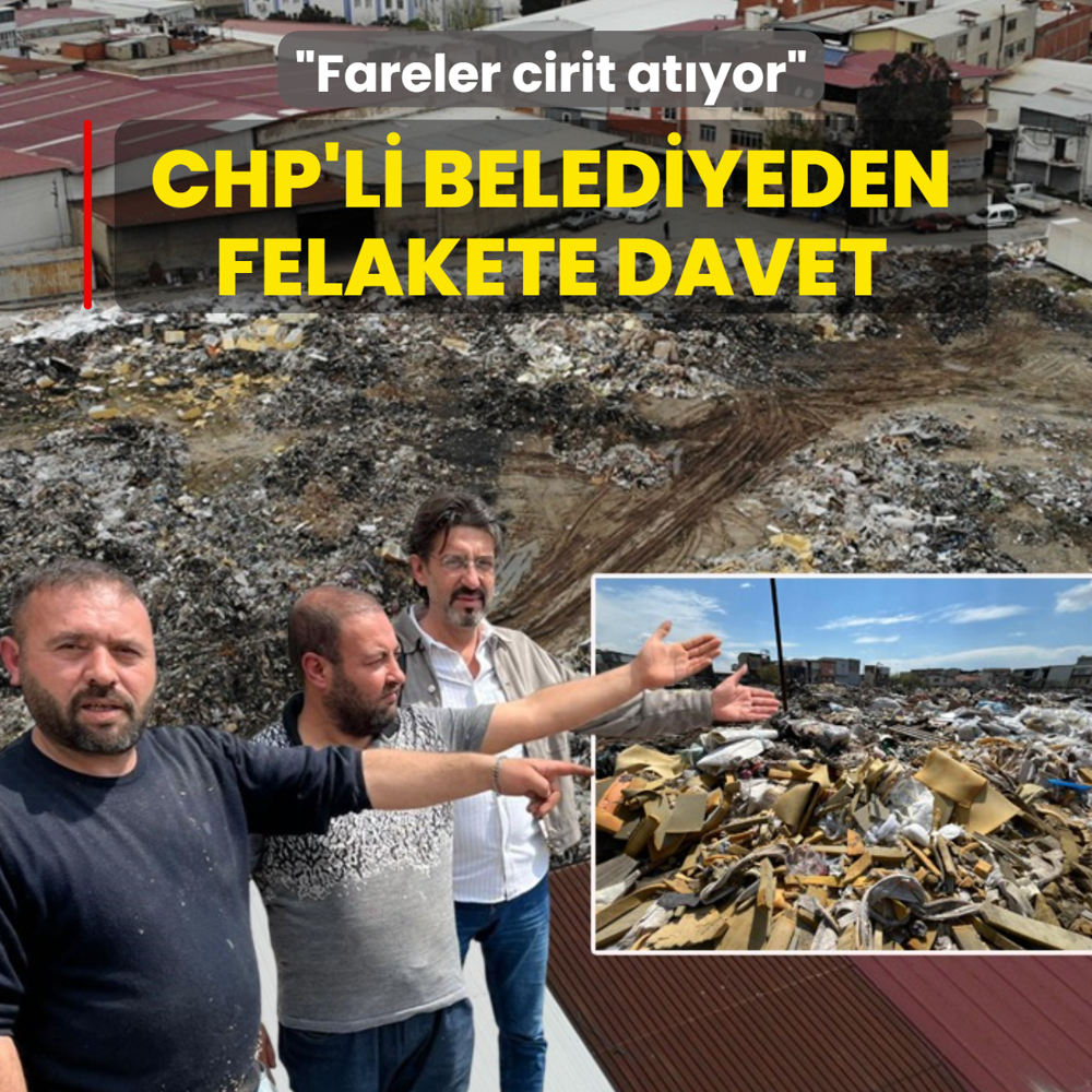 CHP'li belediyeden felakete davet: Fareler cirit at�yor