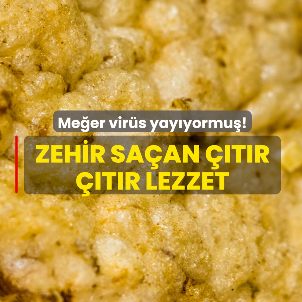 Me�er vir�s yay�yormu�! Uzmanlar, zehir sa�an ��t�r ��t�r lezzete dur diyor