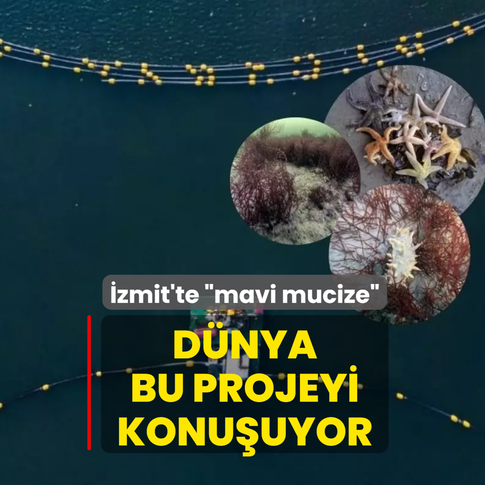 D�nya bu projeyi konu�uyor! �zmit'te �mavi mucize�