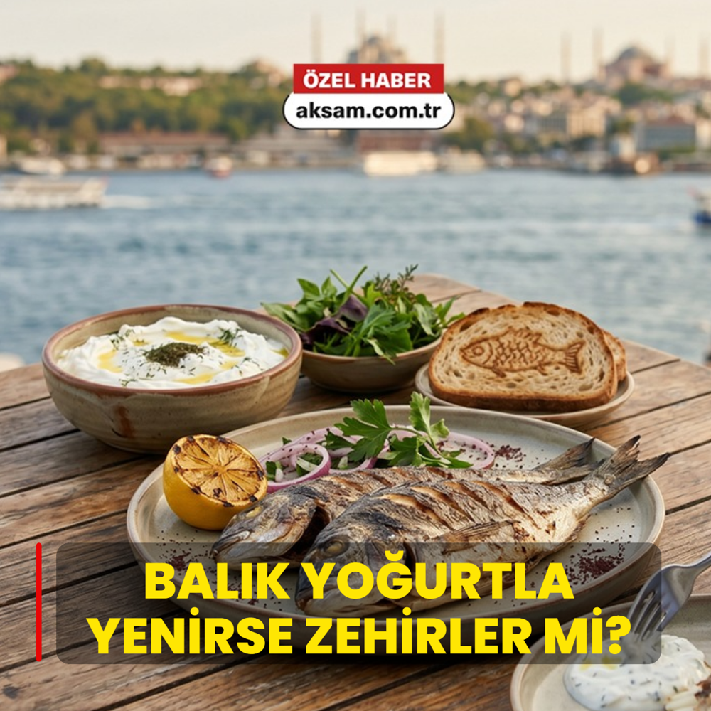Bal�k yo�urtla yenirse zehirler mi? ��te bu konuda uzmanlar�n s�yledi�i