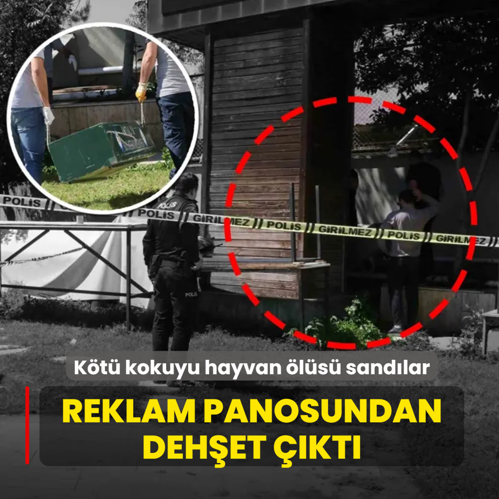K�t� kokuyu hayvan �l�s� sand�lar... Reklam panosundan deh�et ��kt�