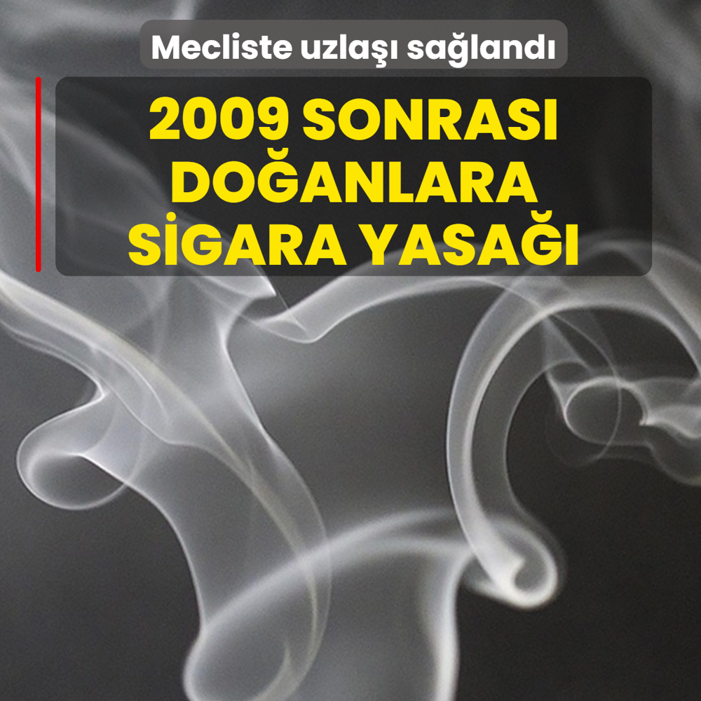 Mecliste uzla�� sa�land�! 2009 sonras� do�anlara sigara yasa��
