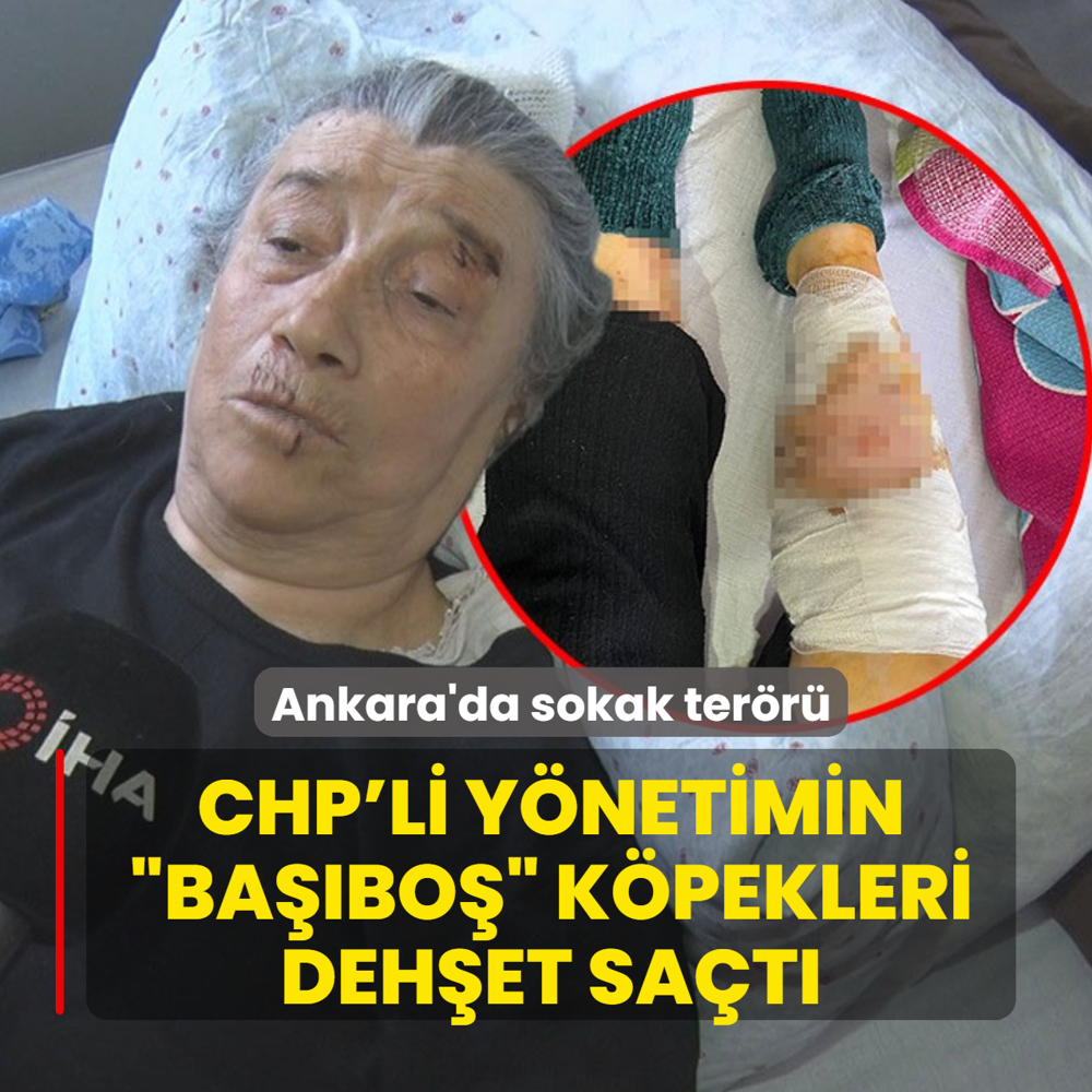 Ankara'da sokak ter�r�: CHP'li y�netimin �ba��bo�� b�rakt��� k�pekler deh�et sa�t�