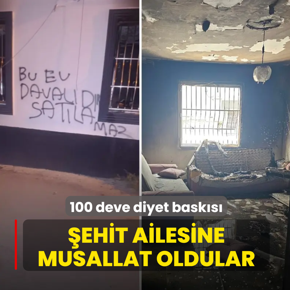 100 deve diyet istediler! Trafik zorbalar� �ehit ailesine musallat oldu