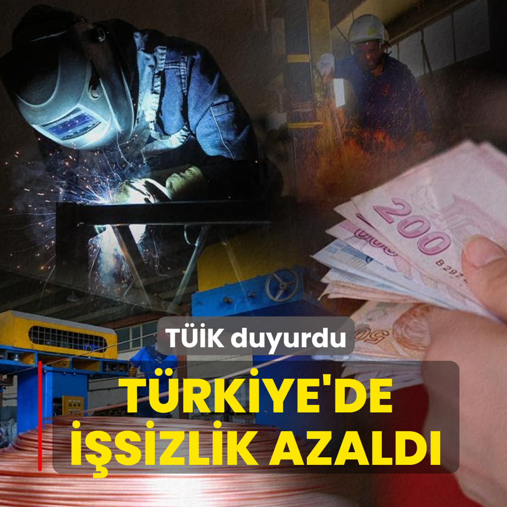 T�rkiye'de i�sizlik azald�