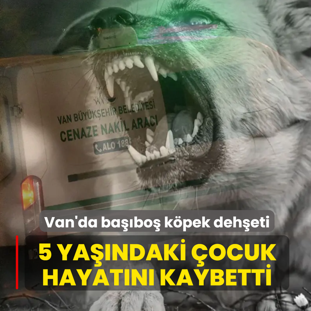 Van'da ba��bo� k�pek deh�eti: 5 ya��ndaki �ocuk hayat�n� kaybetti