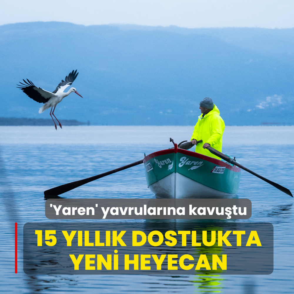 Bal�k�� Adem Y�lmaz ile kurdu�u dostlukla tan�nan Yaren leyle�in yavrular� yumurtadan ��kt�