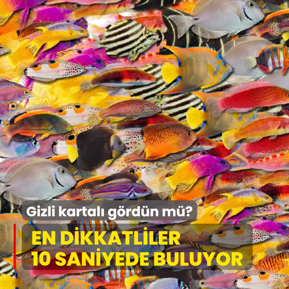 Bal�klar�n i�indeki kartal� g�rd�n m�? Sadece en dikkatliler 10 saniyede buluyor