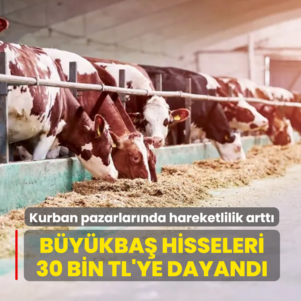 Kurban pazarlar�nda hareketlilik artt�