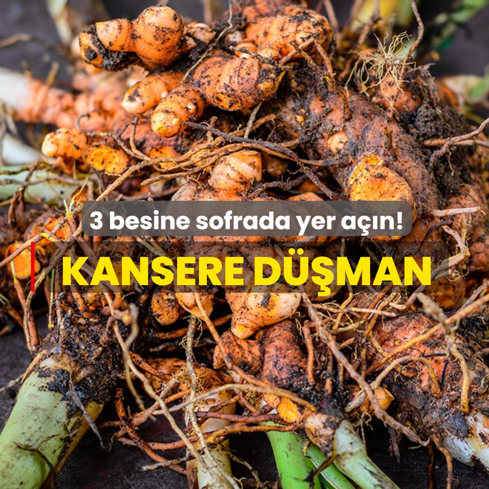 Uzmanlar a��klad�: 3 besin kanseri �nlemede �ok etkili