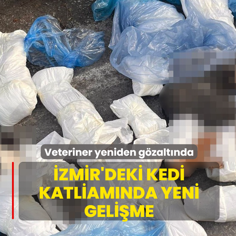 �zmir'deki kedi katliam�nda yeni geli�me! Veteriner yeniden g�zalt�na al�nd�