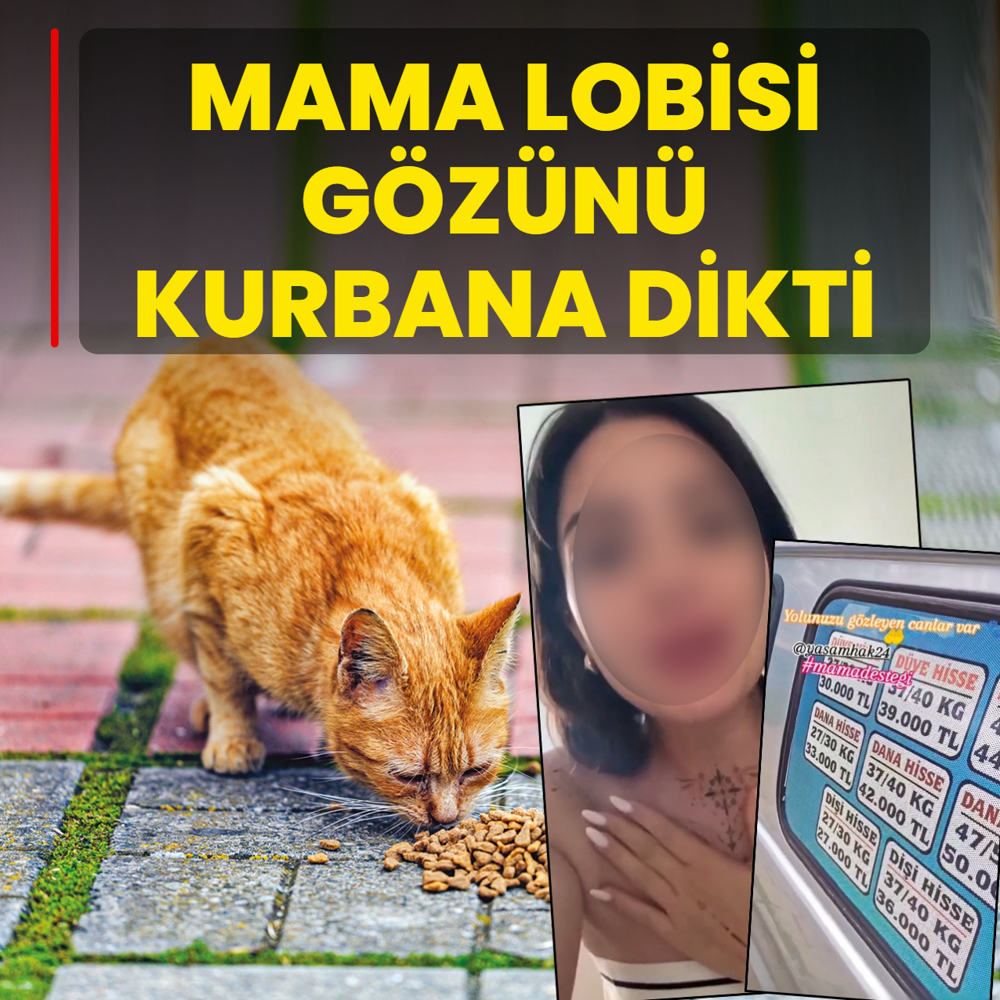 Mama lobisi g�z�n� kurbana dikti