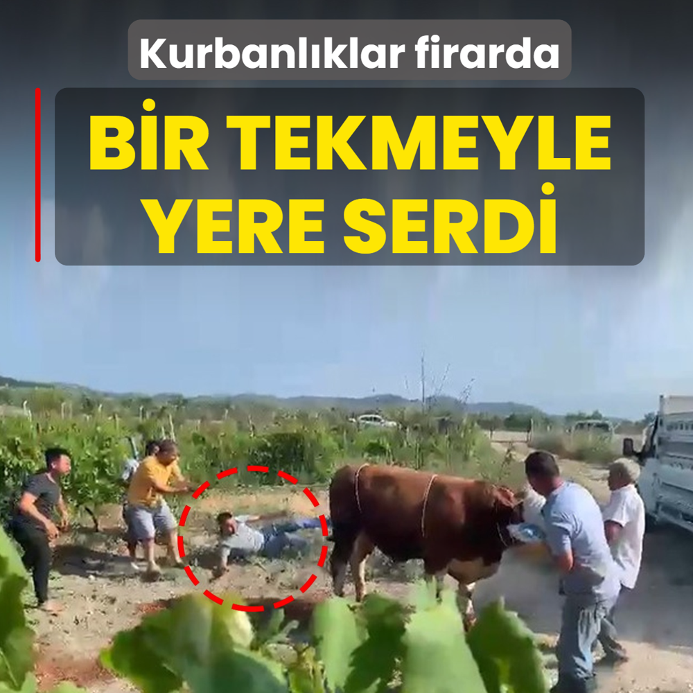 Kurbanl�klar firarda! Bir tekmeyle yere serdi