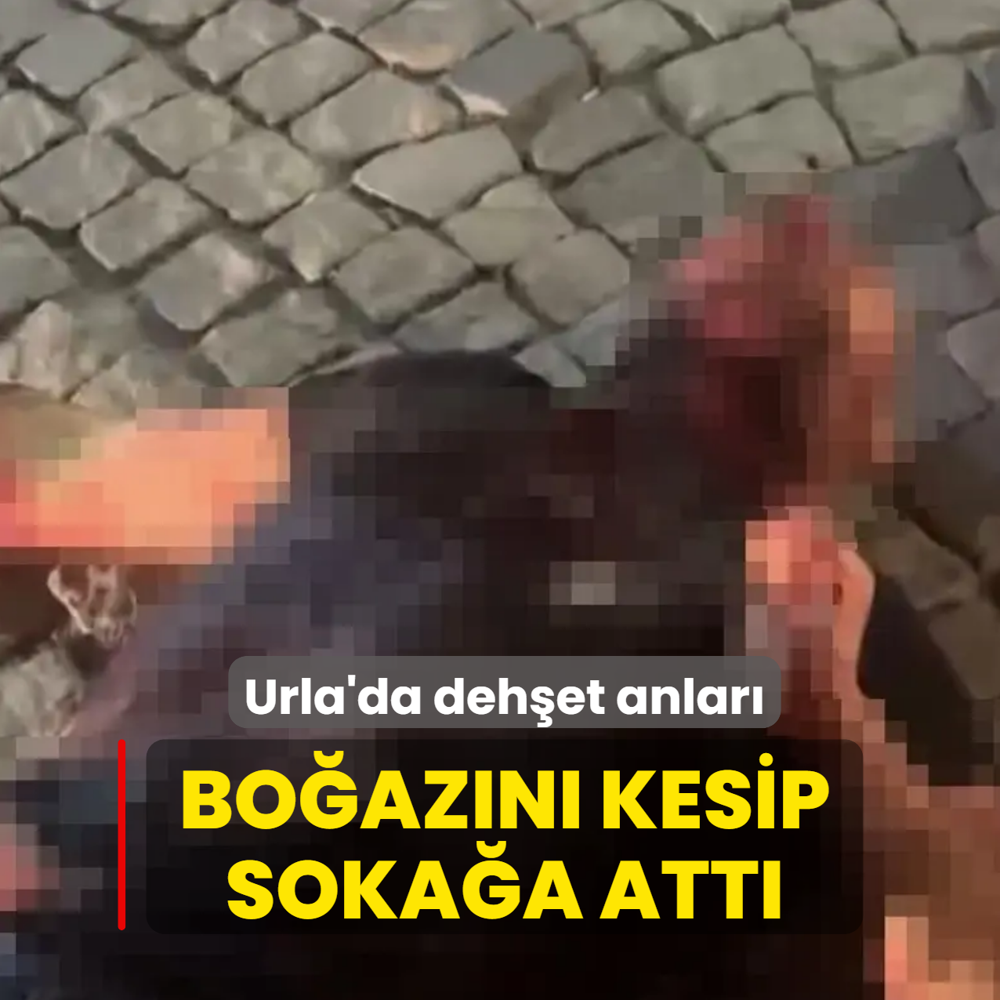 Urla'da deh�et anlar�! Bo�az�n� kesip soka�a att�