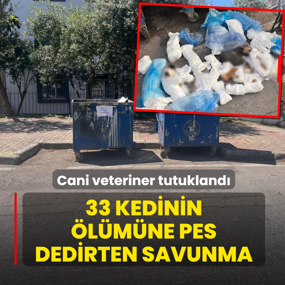 33 kedinin �l�m�ne pes dedirten savunma! Cani veteriner tutukland�
