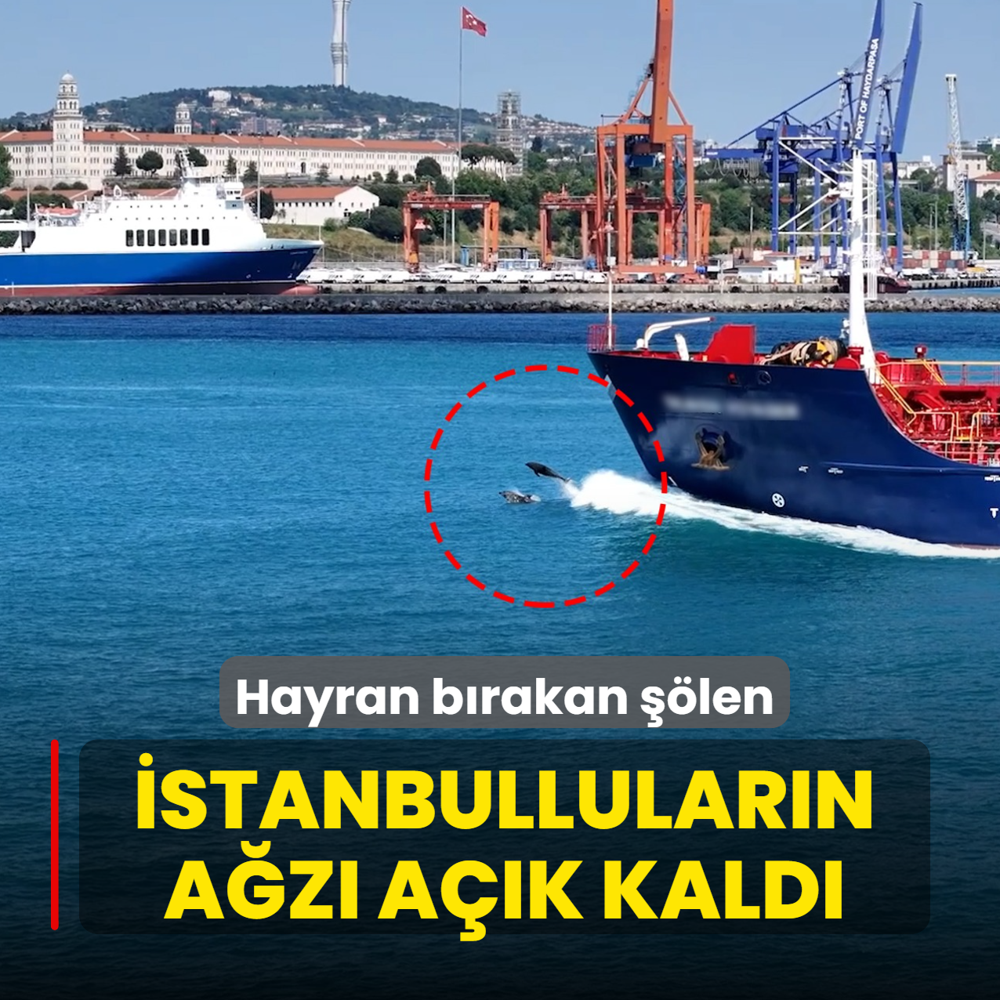 Turkuaz sularda hayran b�rakan ��len! �stanbullular�n a�z� a��k kald�