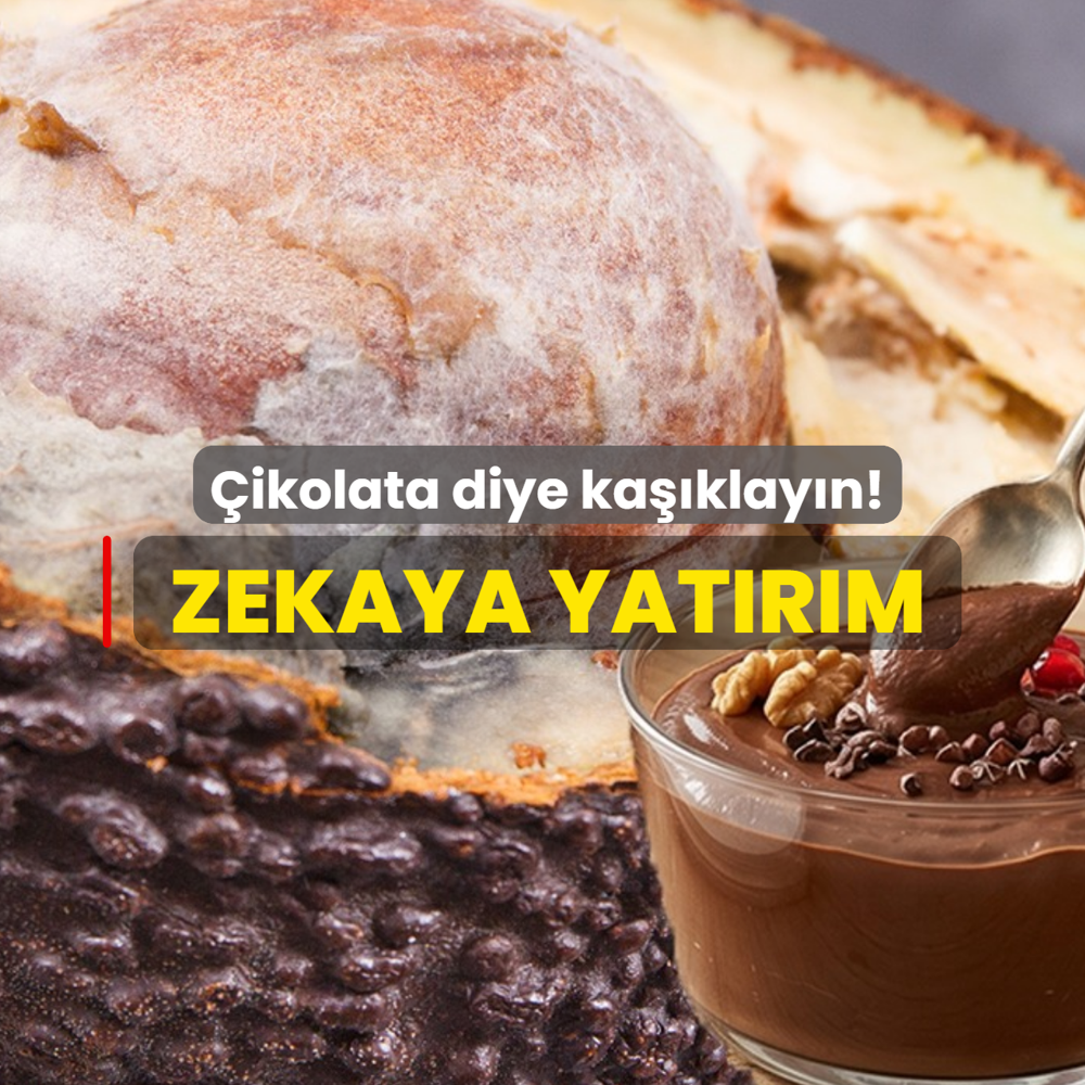 �ikolata diye ka��klay�n! Zekaya ve ba����kl��a yat�r�m: Haz�rlamas� 10 dakika