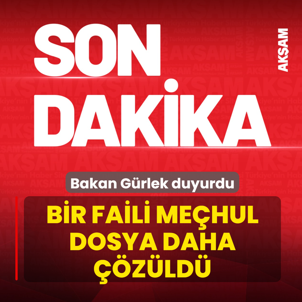 Bir faili me�hul dosya daha ��z�ld�! Bakan G�rlek: 11 ��pheli yakaland�