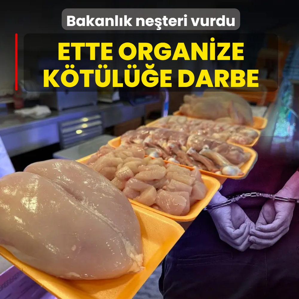 Ette organize k�t�l��e darbe! Bakanl�k ne�teri vurdu
