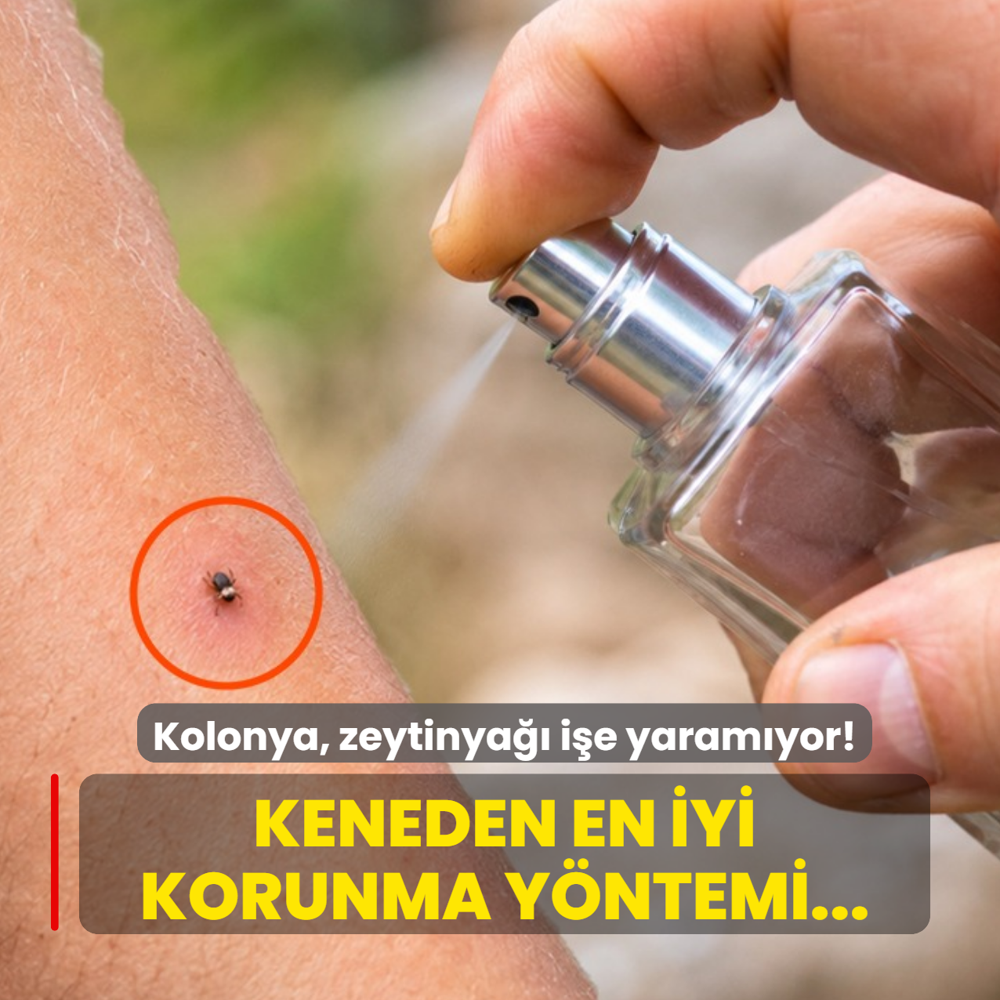 Kene �s�rmas�nda kolonya, zeytinya�� i�e yaram�yor! Uzman� keneden en iyi korunma y�ntemini a��klad�