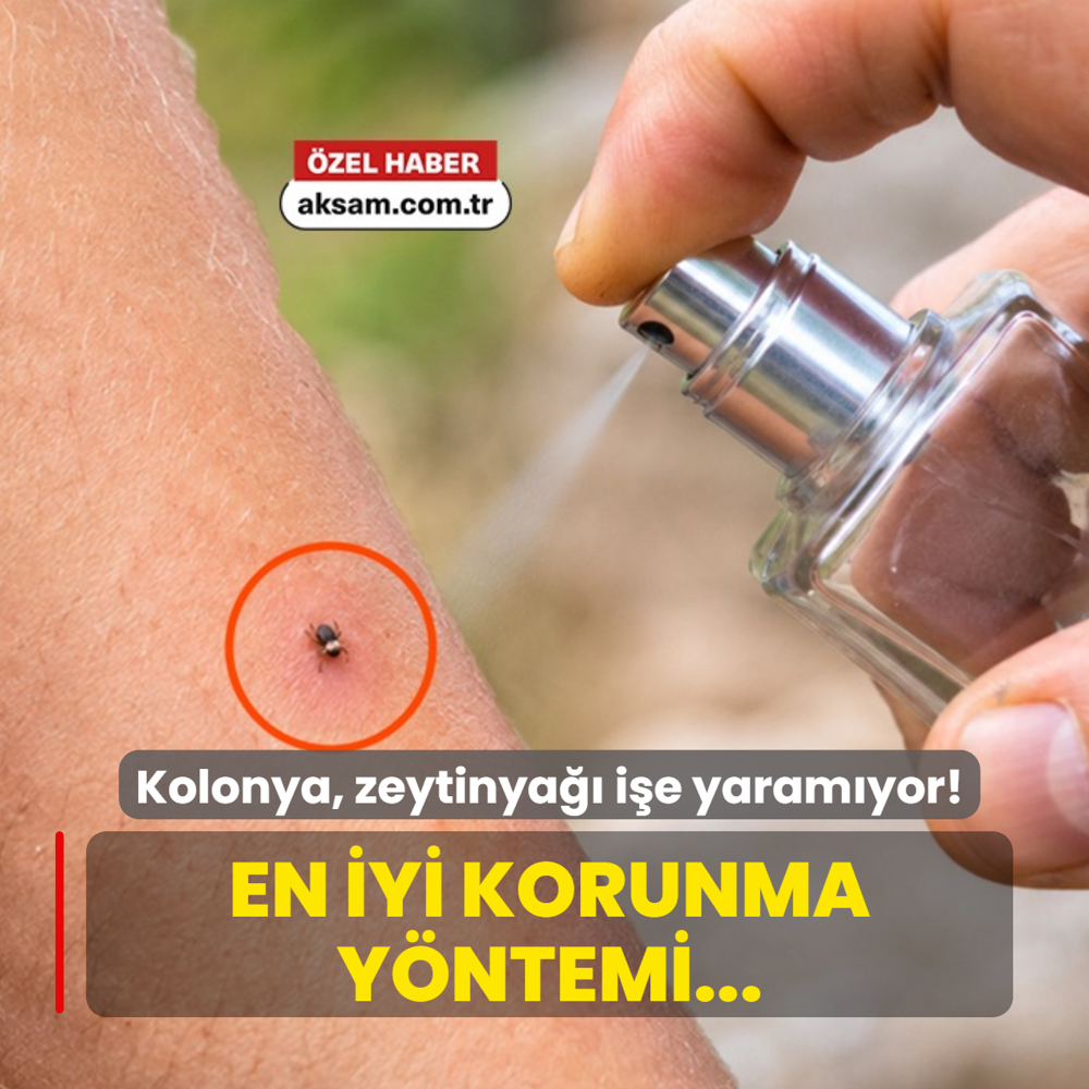 Kene �s�rmas�nda kolonya, zeytinya�� i�e yaram�yor! Uzman� keneden en iyi korunma y�ntemini a��klad�