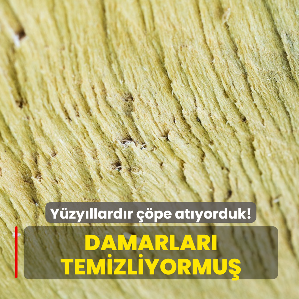 Y�zy�llard�r ��pe at�yorduk! Me�er en �ifal� yeri kabu�unun alt�ndaki o beyaz liflermi�