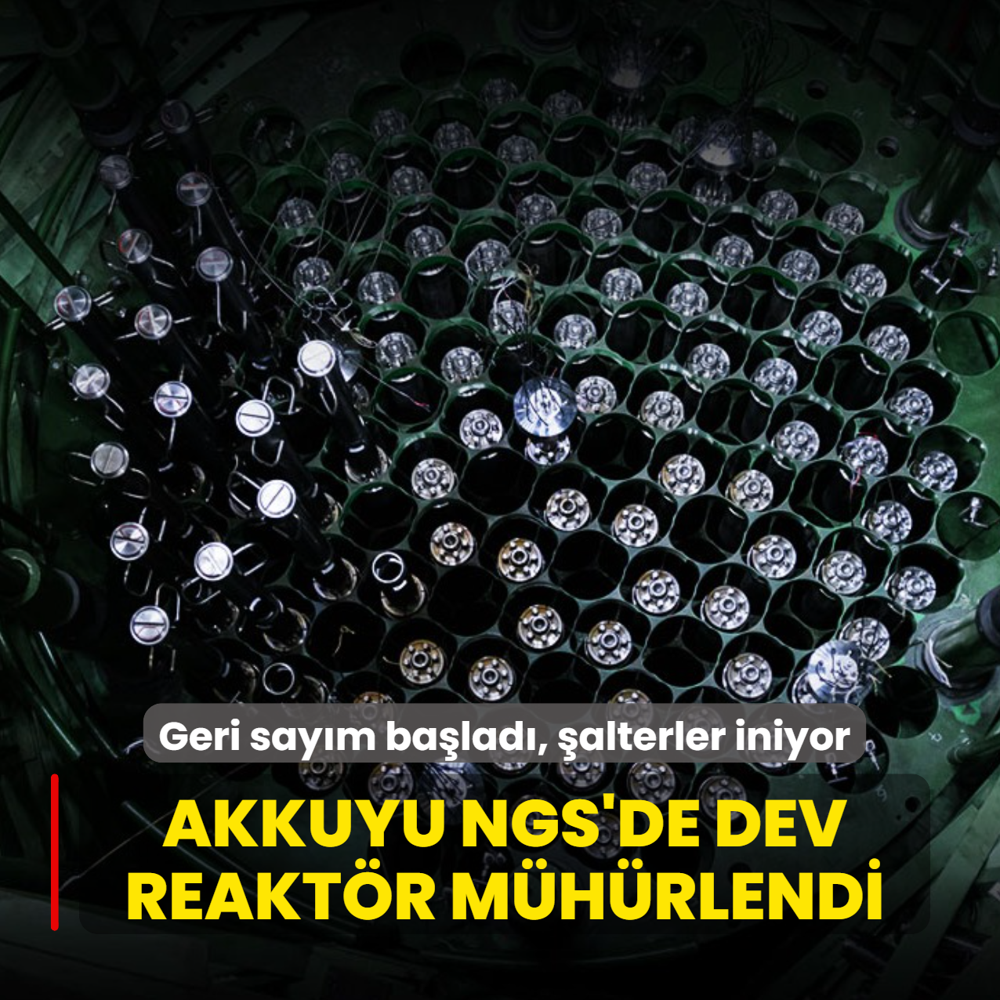 Geri say�m ba�lad�, �alterler iniyor: Akkuyu NGS'de dev reakt�r m�h�rlendi